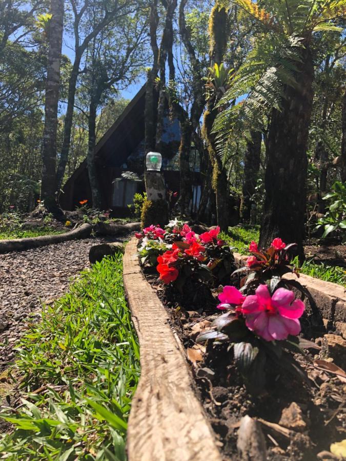 A Cabana Sao Chico São Francisco de Paula Eksteriør billede