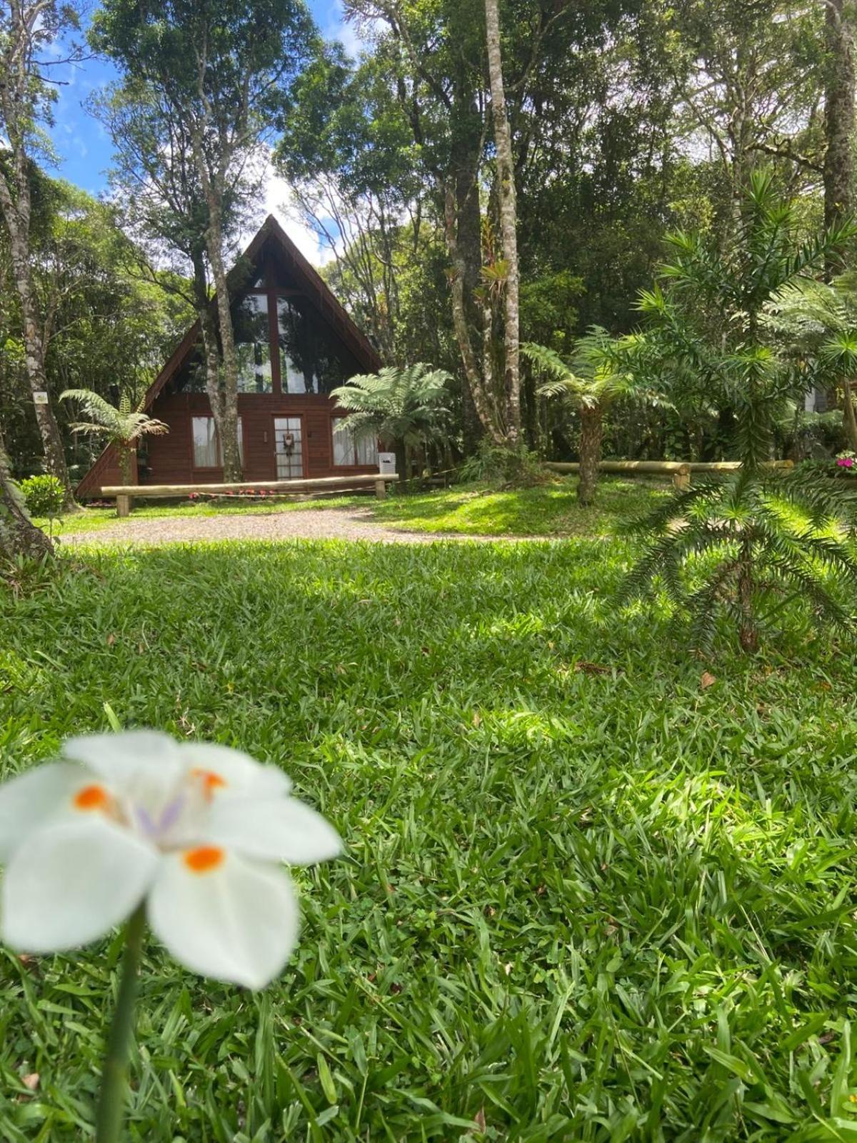 A Cabana Sao Chico São Francisco de Paula Eksteriør billede